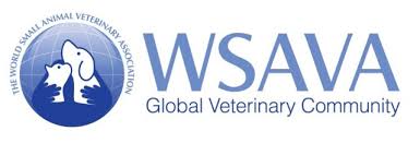 Wsava-logo